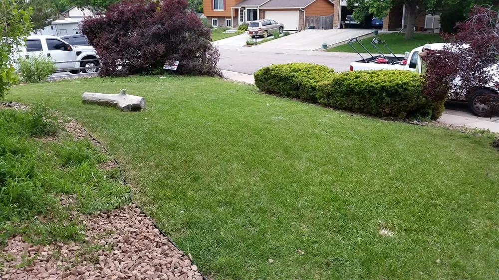 Reliable lawn care service for residential properties in Centennial, CO by Trisona Lawn Care