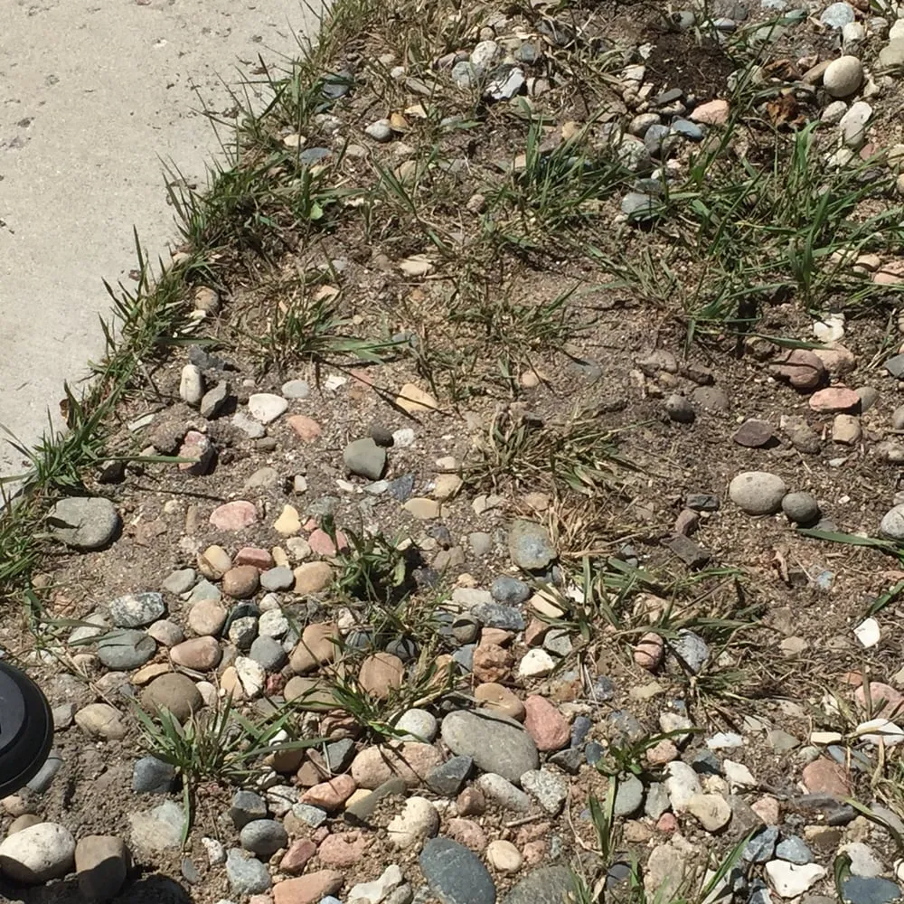 Local residential landscaping in Centennial, CO - Trisona Lawn Care