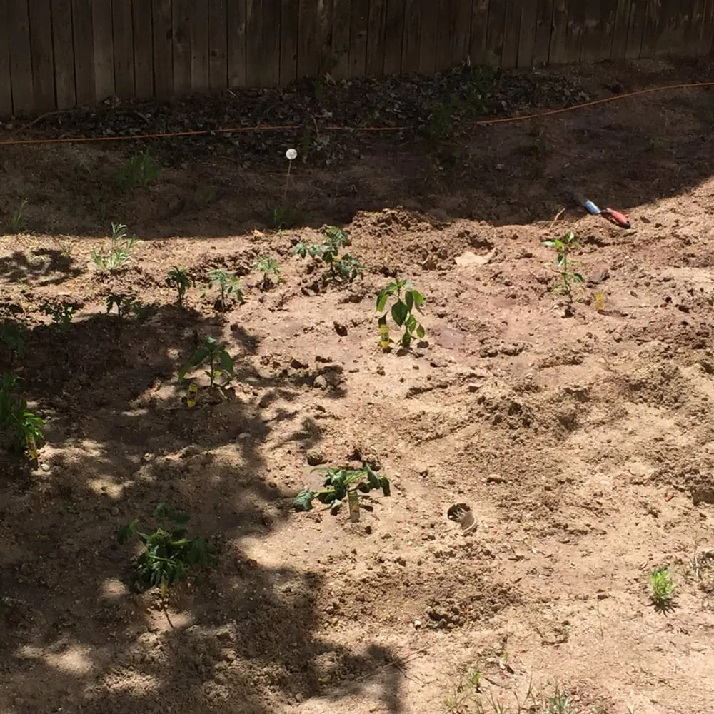 Expert residential landscaping in Centennial, CO by Trisona Lawn Care