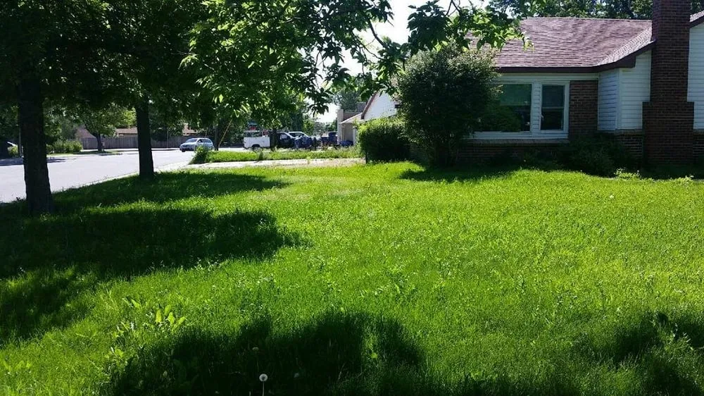 Local yard cleanup service in Centennial, CO - Trisona Lawn Care
