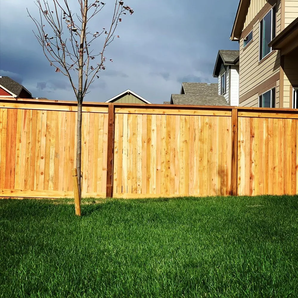 Professional lawn care service for beautiful yards across Loveland, CO - Tristar Landscapes