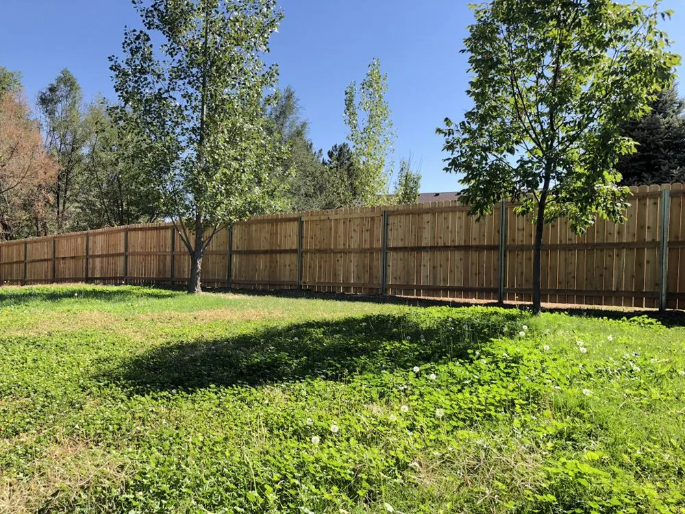 Professional yard maintenance experts serving Loveland, CO - Tristar Landscapes