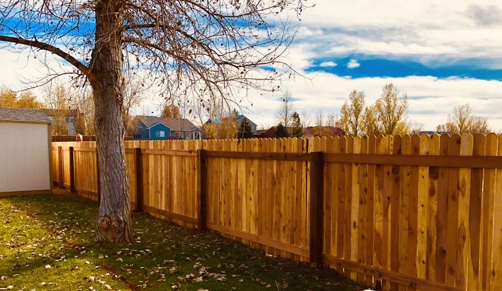 Local yard maintenance for outdoor upgrades across Loveland, CO - Tristar Landscapes