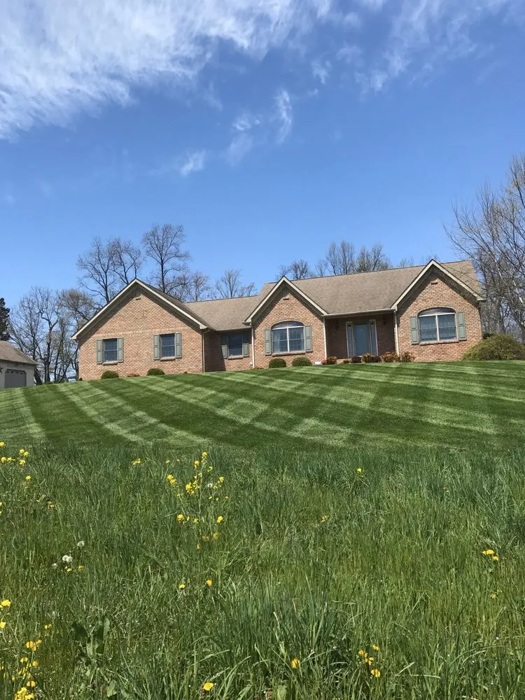 Expert yard maintenance experts serving Rising Sun, MD - Tristate Property Solutions