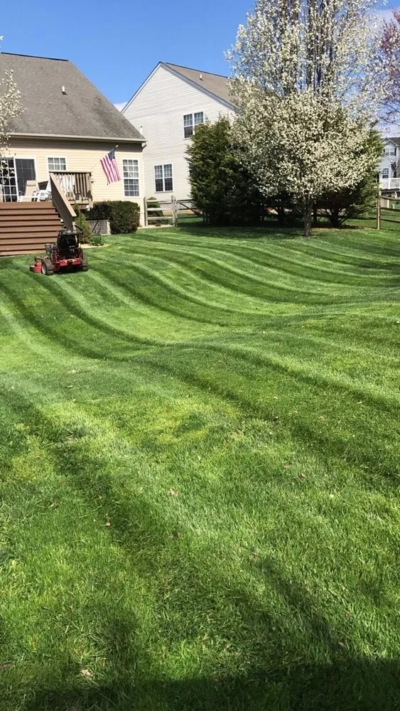 Professional landscape design in Rising Sun, MD by Tristate Property Solutions