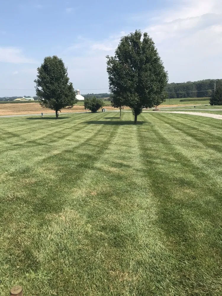 Trusted yard maintenance for residential properties across Rising Sun, MD - Tristate Property Solutions