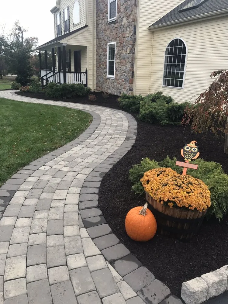 Professional yard cleanup service in Rising Sun, MD by Tristate Property Solutions