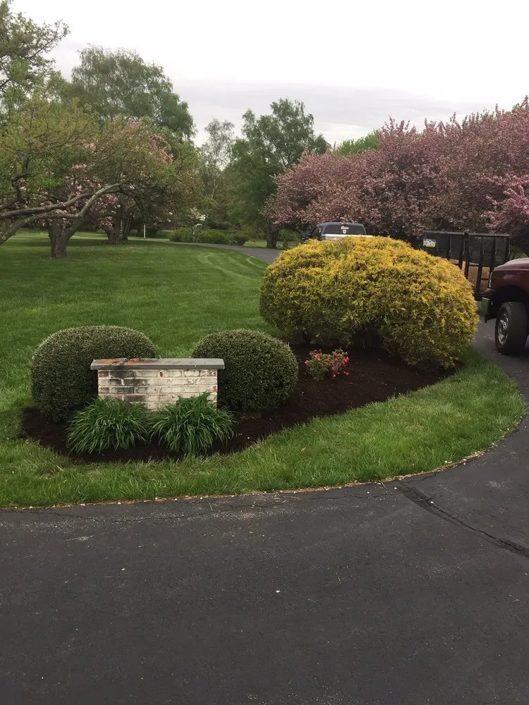 Local yard cleanup service in Rising Sun, MD - Tristate Property Solutions