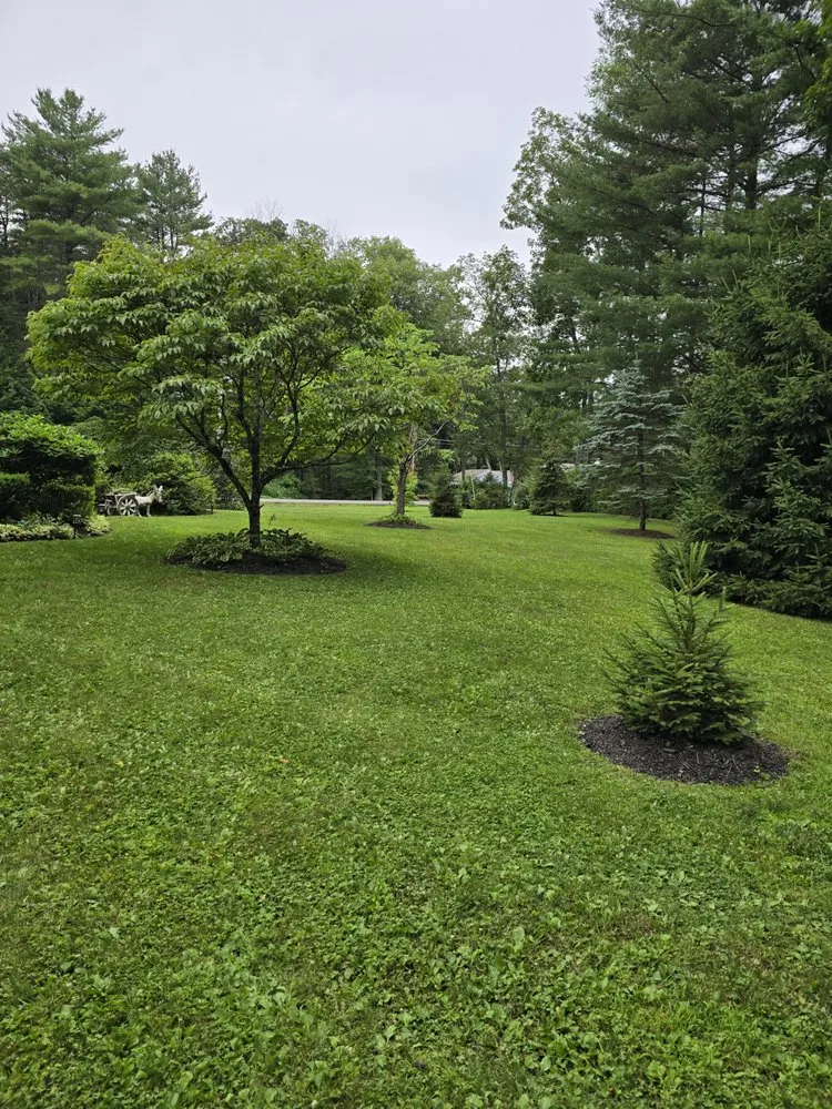Reliable yard maintenance near you across Shohola, PA - Tristates All In One Landscaping