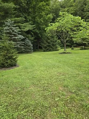 Tristates All In One Landscaping