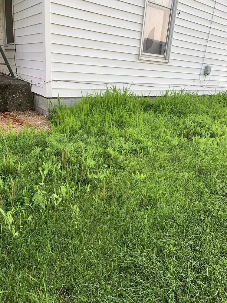 Custom lawn care service in Columbus Junction, IA - Triston's Yard Care