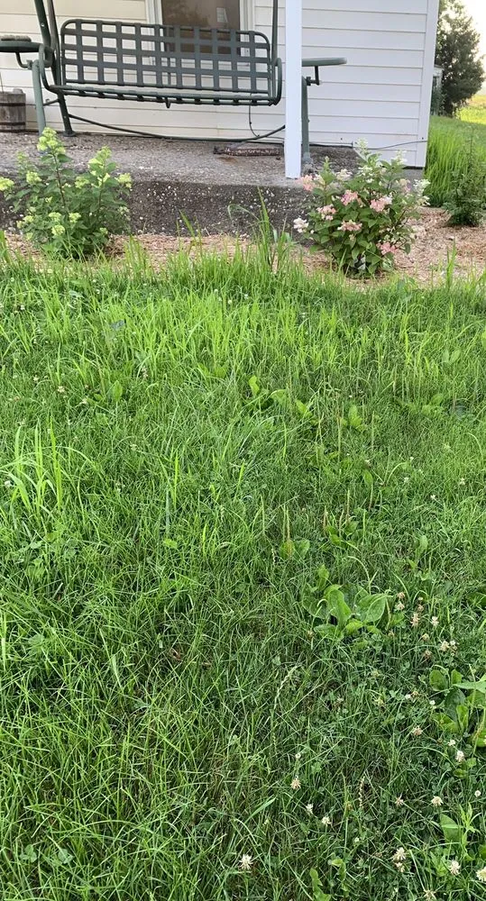 Trusted landscaping services in Columbus Junction, IA - Triston's Yard Care