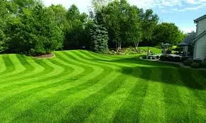 Local landscape installation experts serving Columbus Junction, IA - Triston's Yard Care
