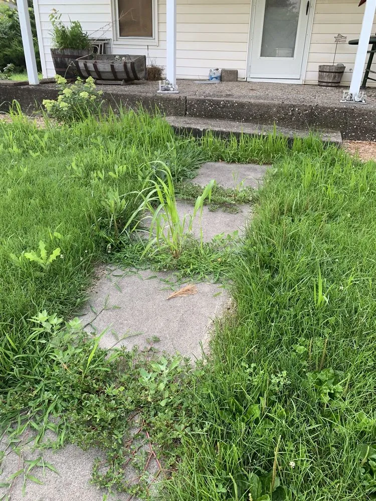 Affordable yard maintenance in Columbus Junction, IA by Triston's Yard Care