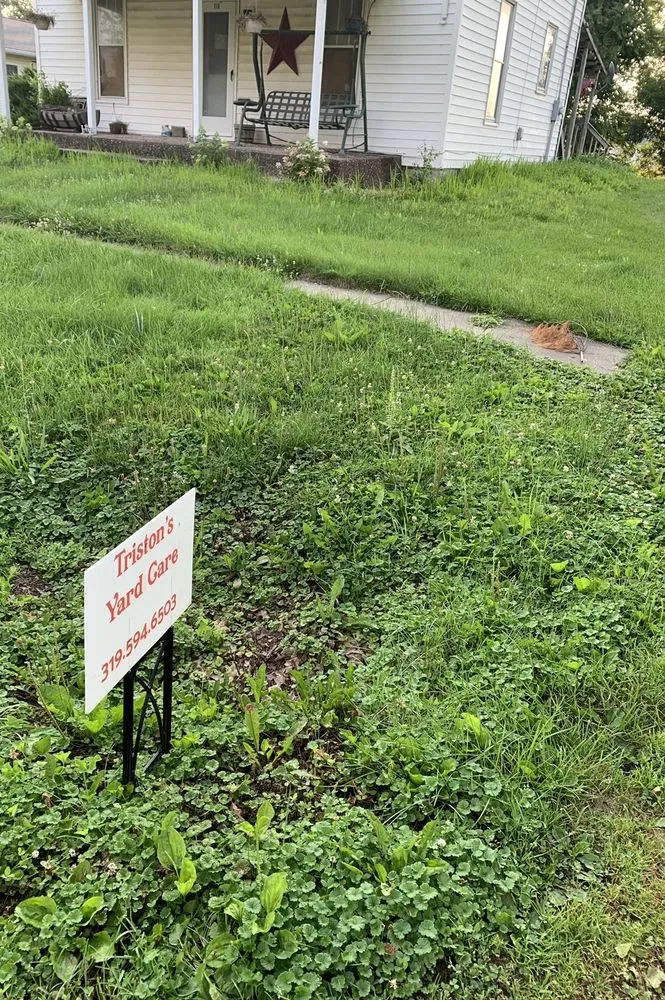 Expert landscape design for outdoor upgrades across Columbus Junction, IA - Triston's Yard Care