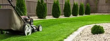 Custom yard cleanup service in Columbus Junction, IA by Triston's Yard Care