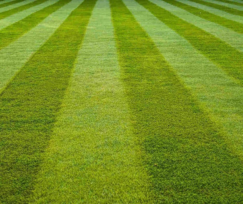 Professional lawn mowing service for beautiful yards in Killen, AL by Triton Lawn & Landscape