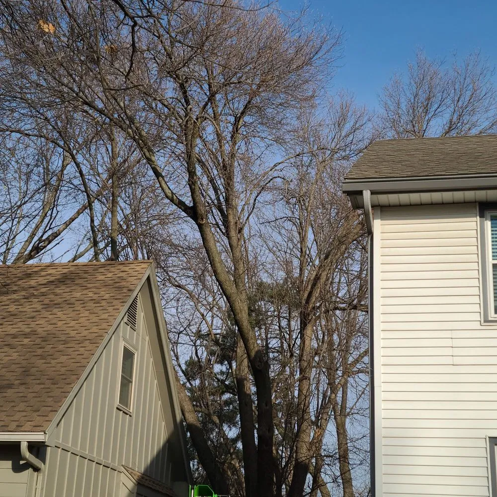 Reliable landscape installation experts serving Olathe, KS - Triton Lawn