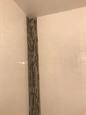 Triton Plus Inc or Triton Professionals Logo