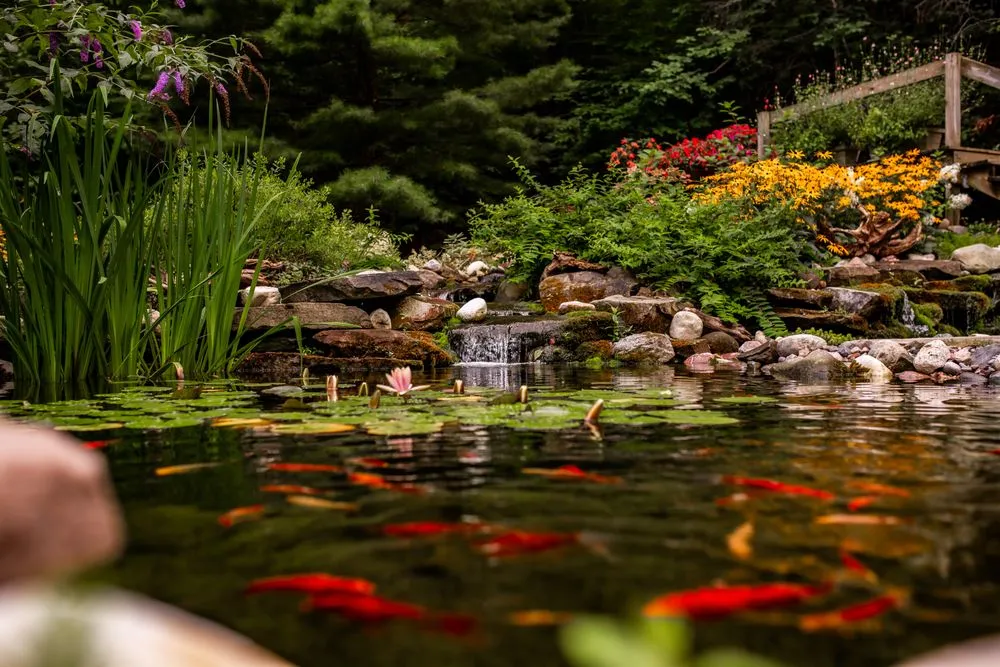 Expert residential landscaping in Traverse City, MI by Triton Waterscapes