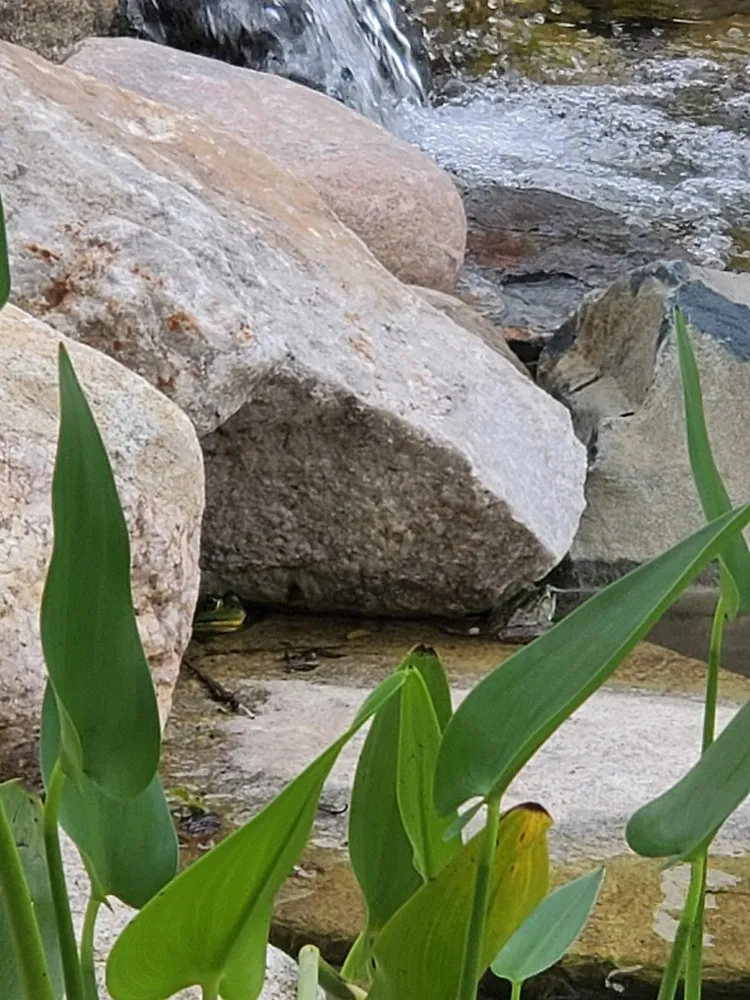 Trusted yard maintenance in Traverse City, MI by Triton Waterscapes