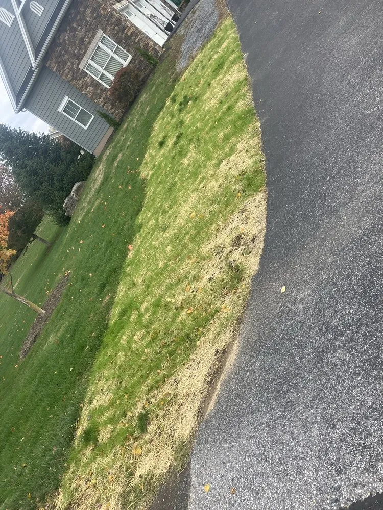 Trusted landscape installation in Carlisle, PA - Tritt Lawn Care Services