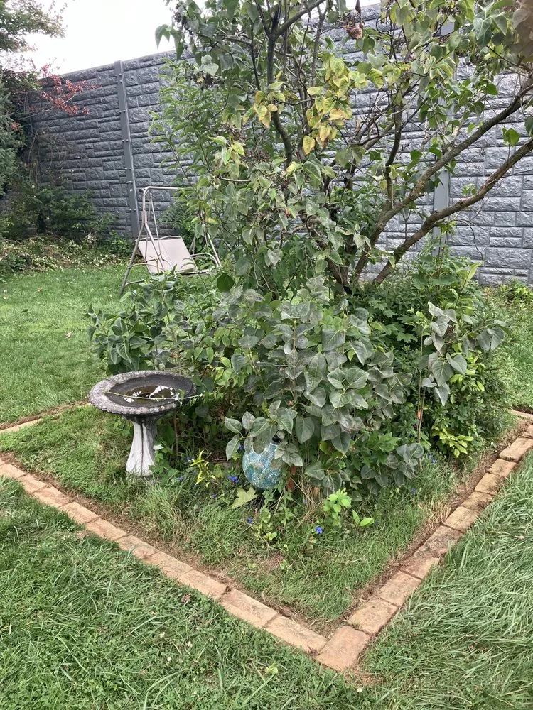 Top-rated yard cleanup service in Carlisle, PA by Tritt Lawn Care Services