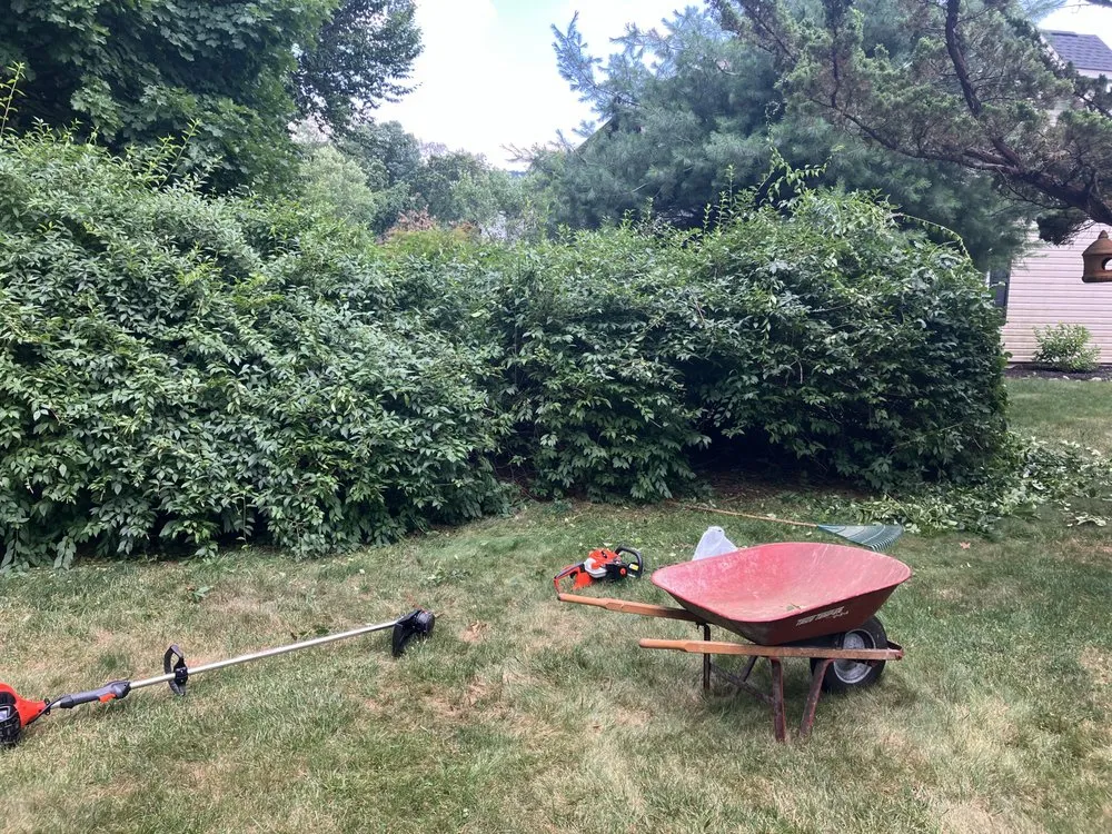 Reliable lawn care service in Carlisle, PA by Tritt Lawn Care Services