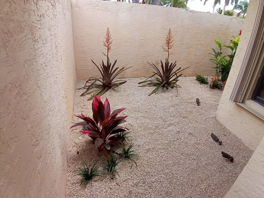 Affordable yard cleanup service in Port St. Lucie, FL by Triumph Forces Lawn Maintenance and Irrigation