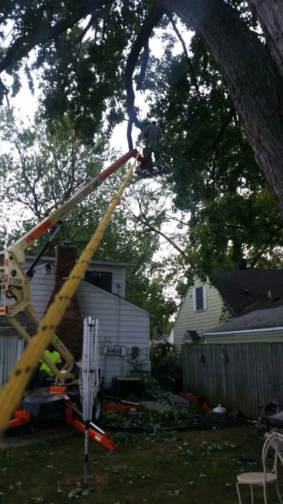 Expert lawn care service in Detroit, MI by Triumph Landscaping, LLC