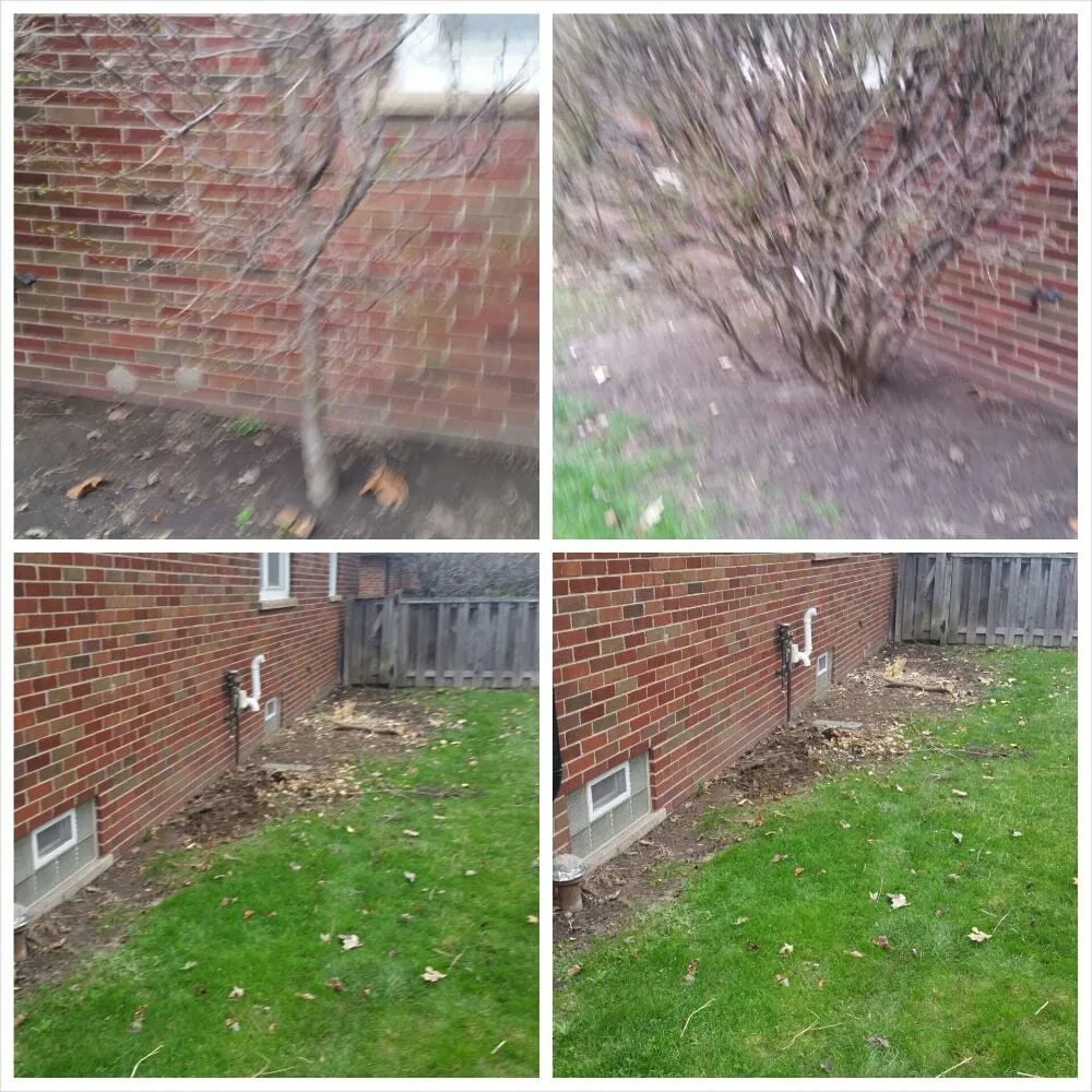 Reliable yard maintenance in Detroit, MI by Triumph Landscaping, LLC