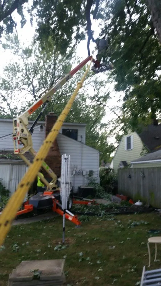 Expert garden landscaping for residential properties in Detroit, MI by Triumph Landscaping, LLC