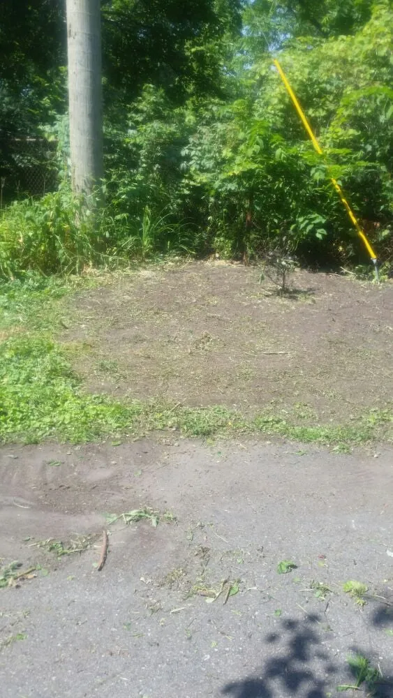 Expert landscape installation in Detroit, MI - Triumph Landscaping, LLC