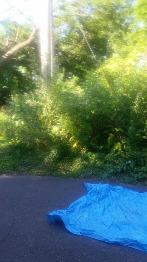 Affordable lawn mowing service experts serving Detroit, MI - Triumph Landscaping, LLC