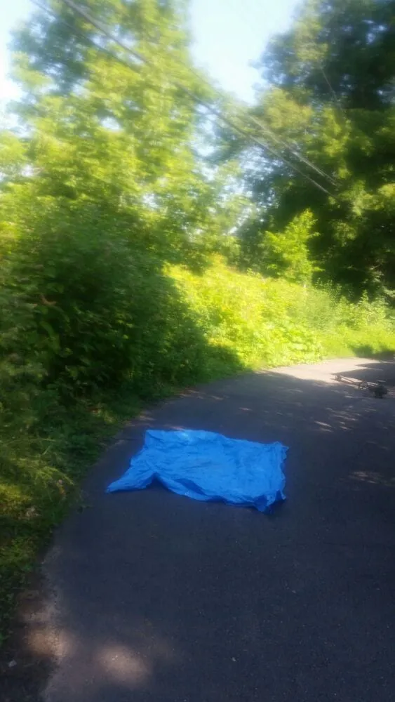 Local landscaping services in Detroit, MI - Triumph Landscaping, LLC