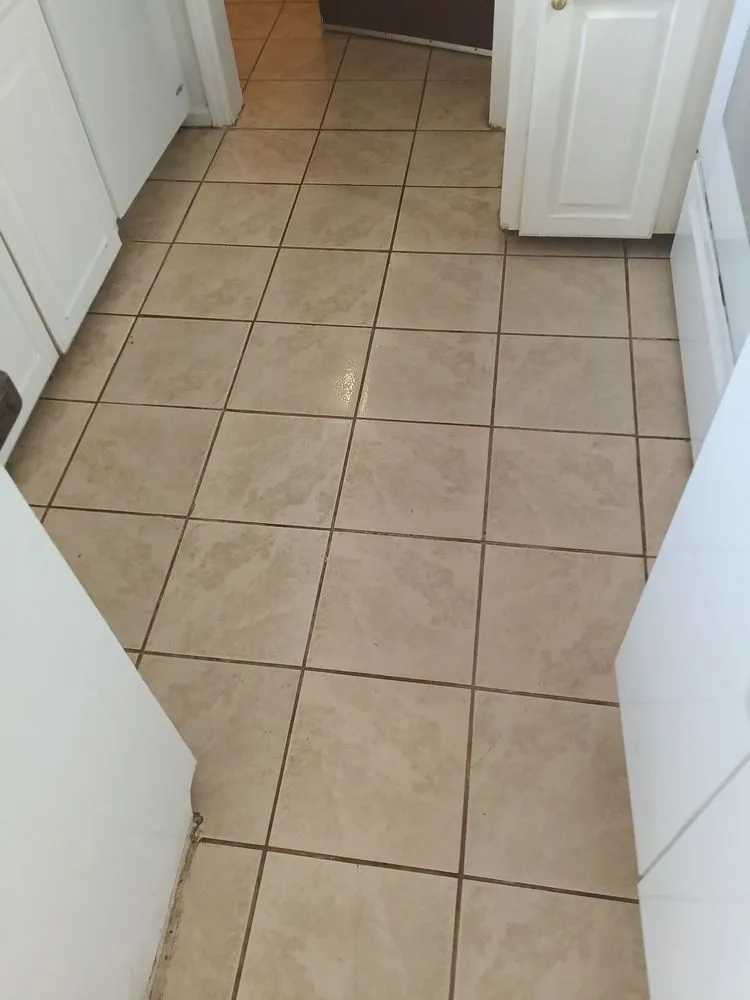 Top-rated outdoor landscaping for beautiful yards in Columbia, SC by Triumph Lawn Care