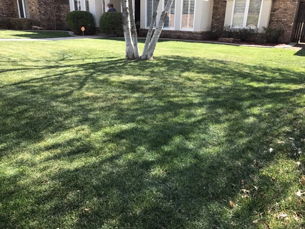 Trusted yard maintenance for year-round maintenance across Lubbock, TX - Triumphant Lawn and Landscape Services