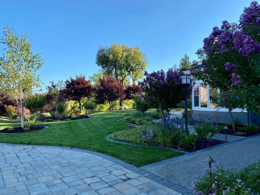 Expert yard cleanup service for year-round maintenance across Pleasanton, CA - TriValley Landscape