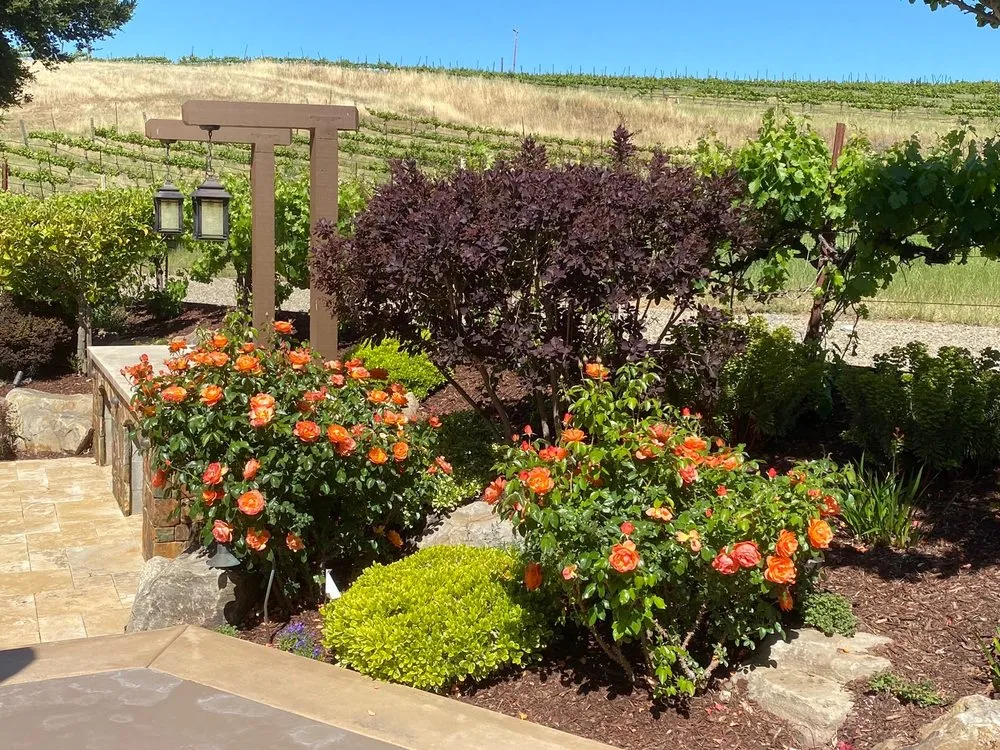 Custom landscaping services in Pleasanton, CA - TriValley Landscape