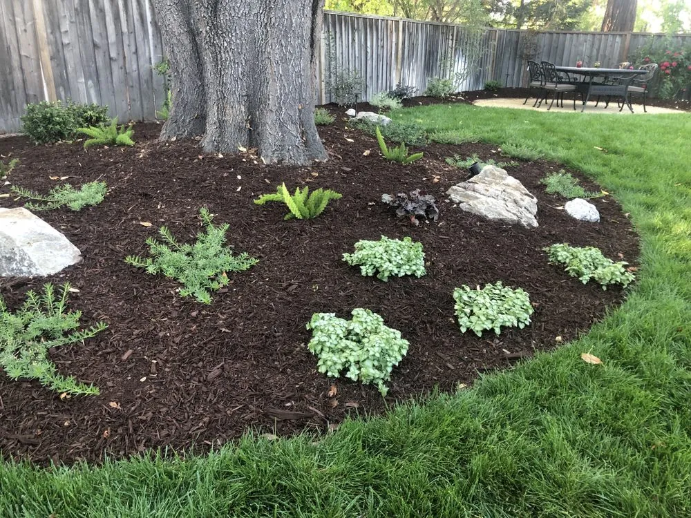 Custom landscaping services near you in Pleasanton, CA by TriValley Landscape