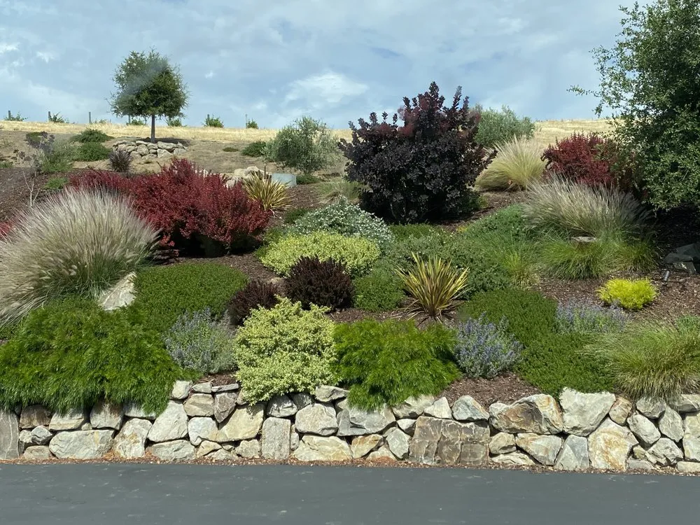 Professional lawn care service in Pleasanton, CA - TriValley Landscape