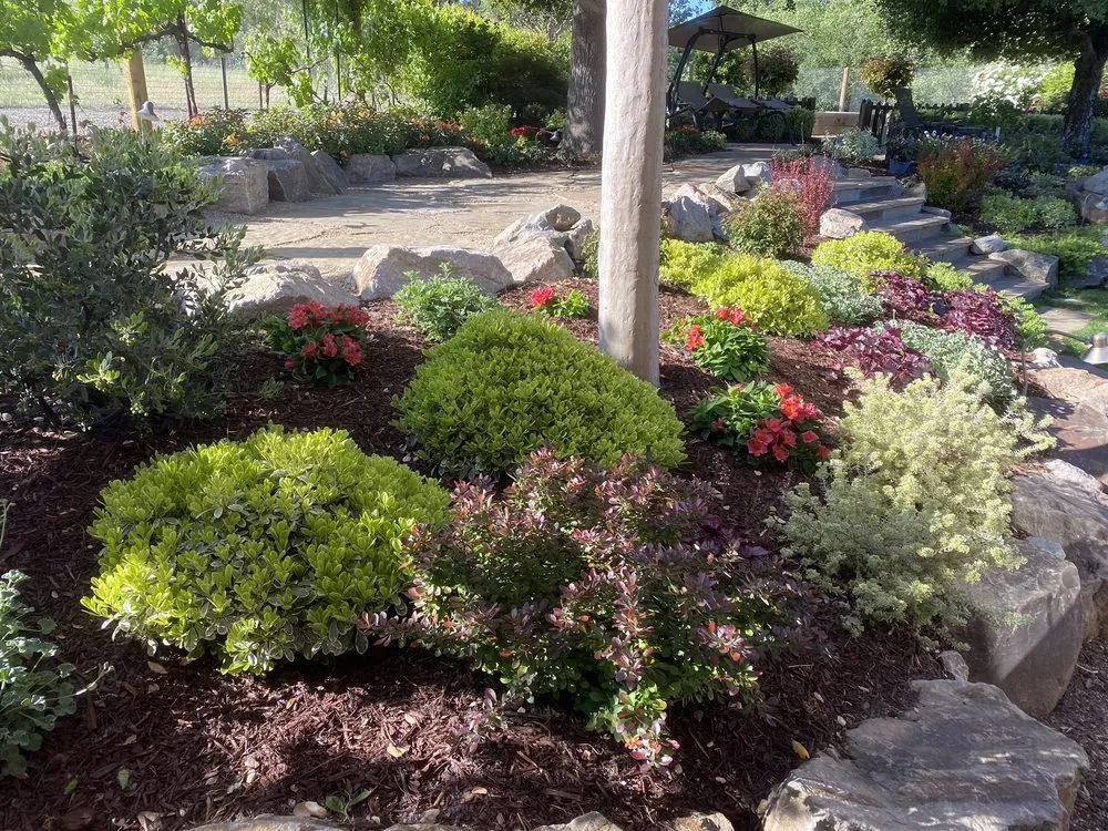 Custom yard maintenance in Pleasanton, CA by TriValley Landscape