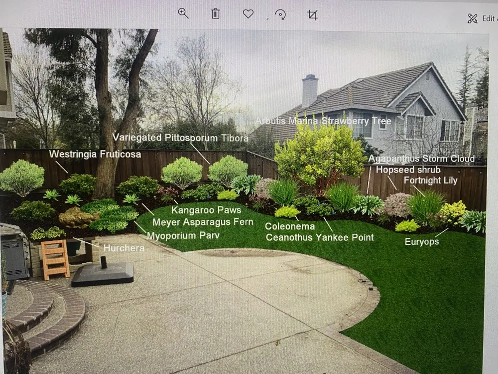 Custom yard maintenance with custom design across Pleasanton, CA - TriValley Landscape