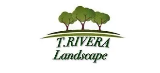 Professional yard maintenance for beautiful yards in Winston-Salem, NC by T.Rivera Landscaping
