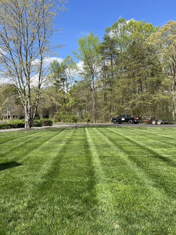 Expert landscaping services for homes across Winston-Salem, NC - T.Rivera Landscaping