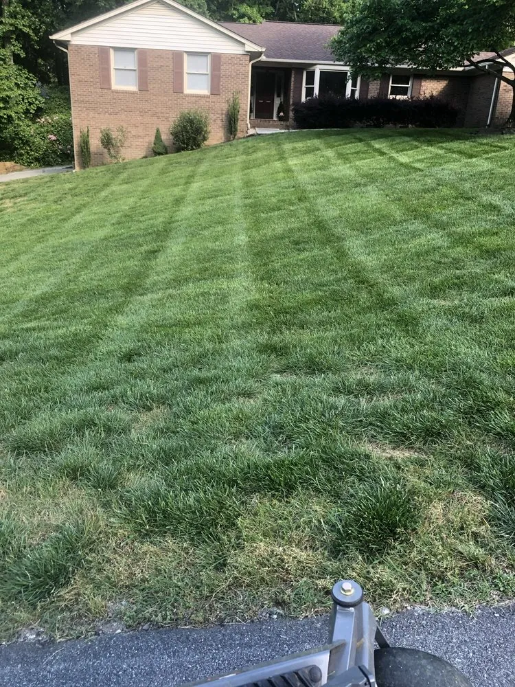Top-rated landscape installation near you in Winston-Salem, NC by T.Rivera Landscaping
