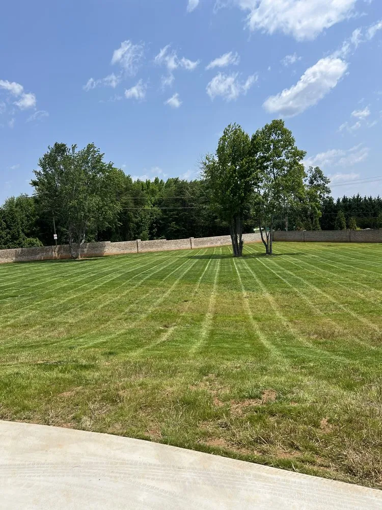 Professional garden landscaping for residential properties across Winston-Salem, NC - T.Rivera Landscaping