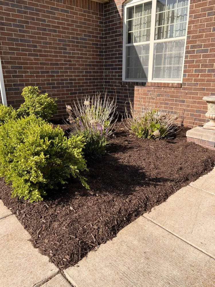 Reliable lawn care service experts serving Rochester, MI - TRK Landscaping Services