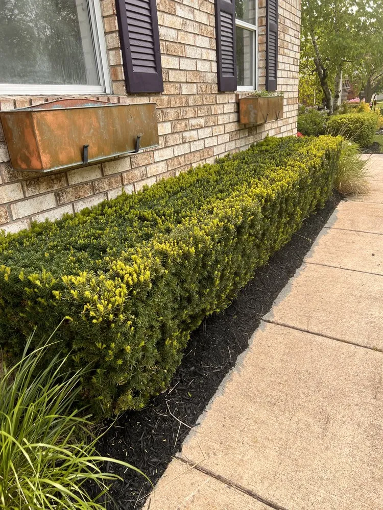 Professional landscape installation experts serving Rochester, MI - TRK Landscaping Services