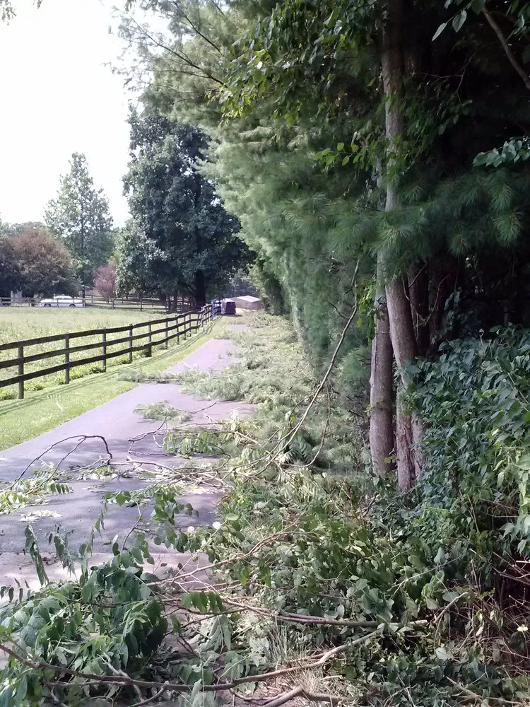 Affordable yard maintenance in Mount Airy, MD - TRM